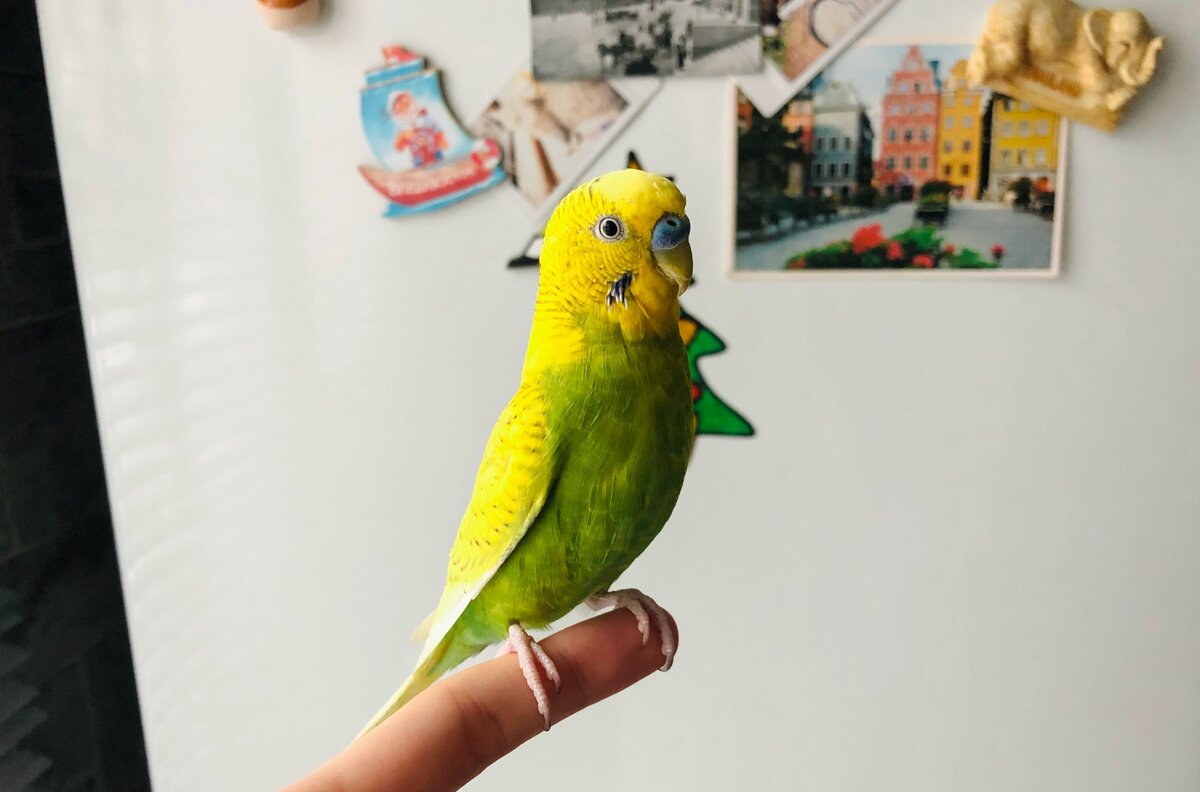 Тэри приветствует вас. 