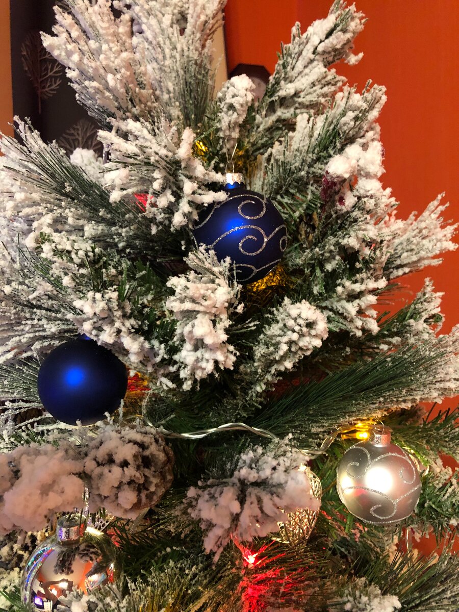 Фото из личного архива