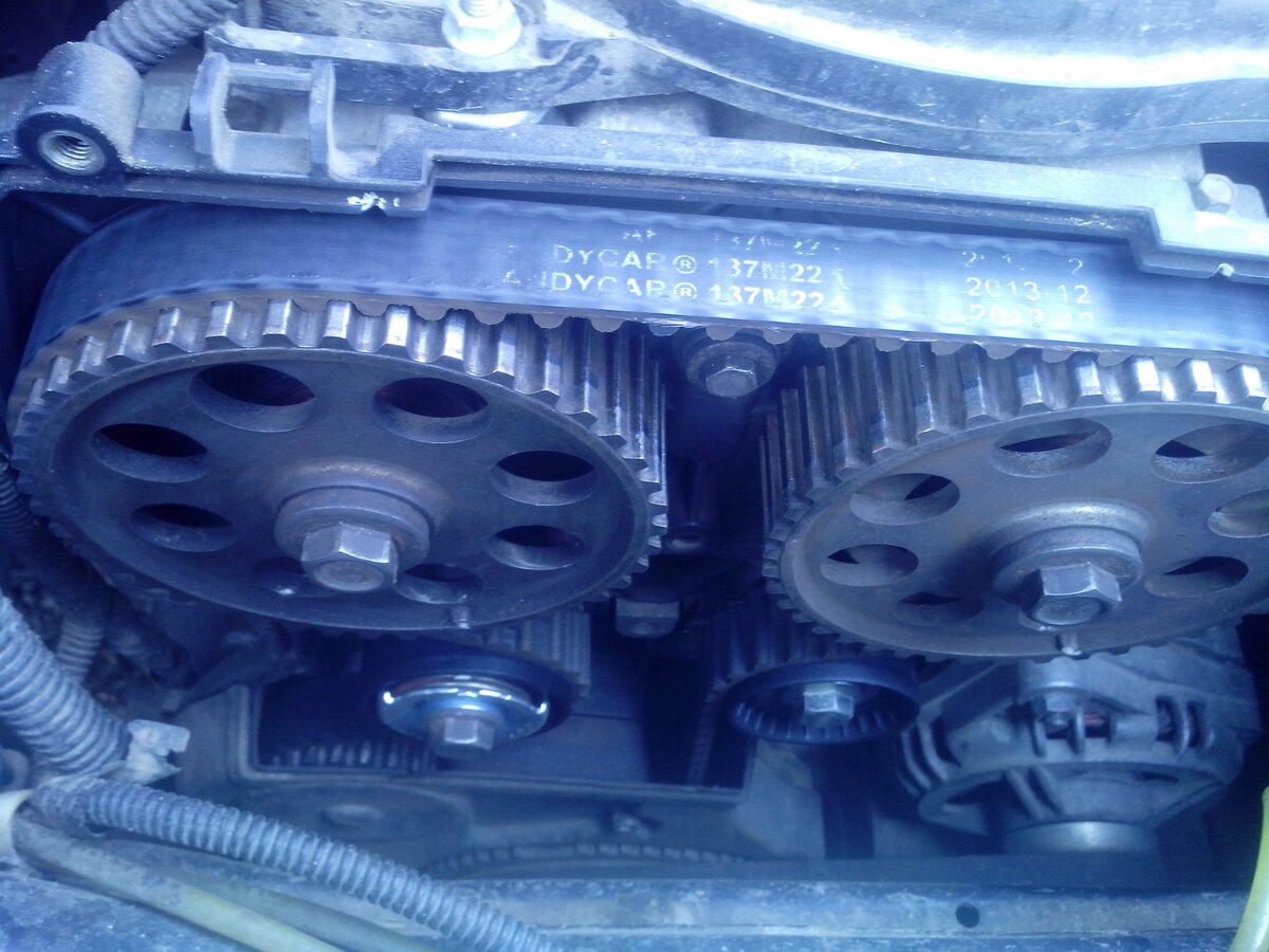 фото из интернета