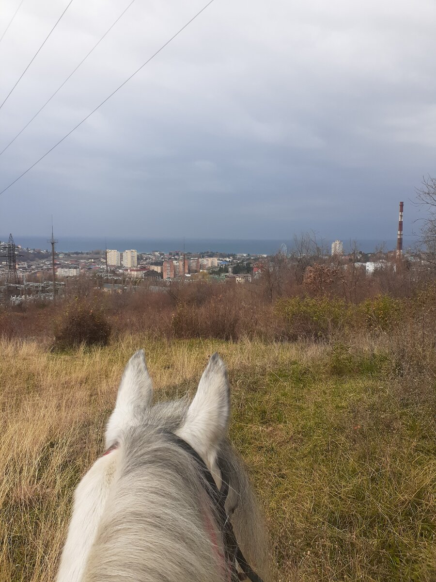 На прогулке. Фото из личного архива