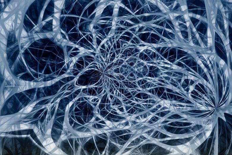 Нервная система человека невероятно сложна
