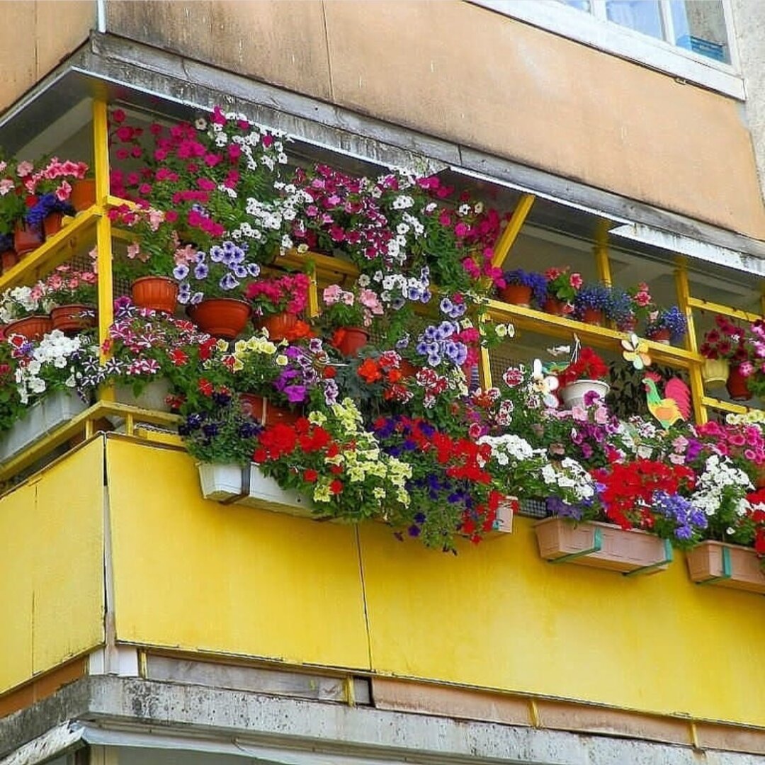 Украшение балкона цветами