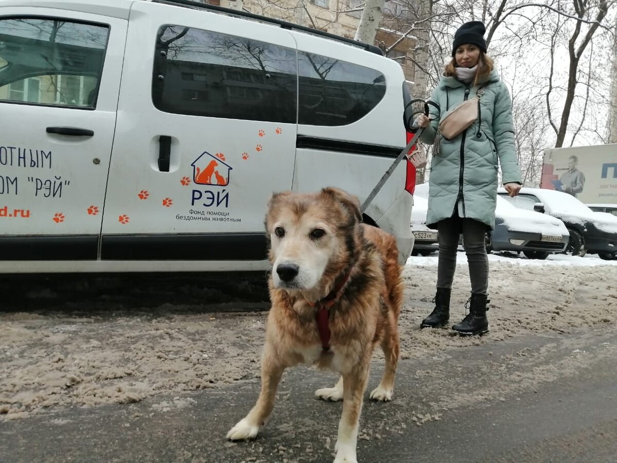 приют красная сосна москва