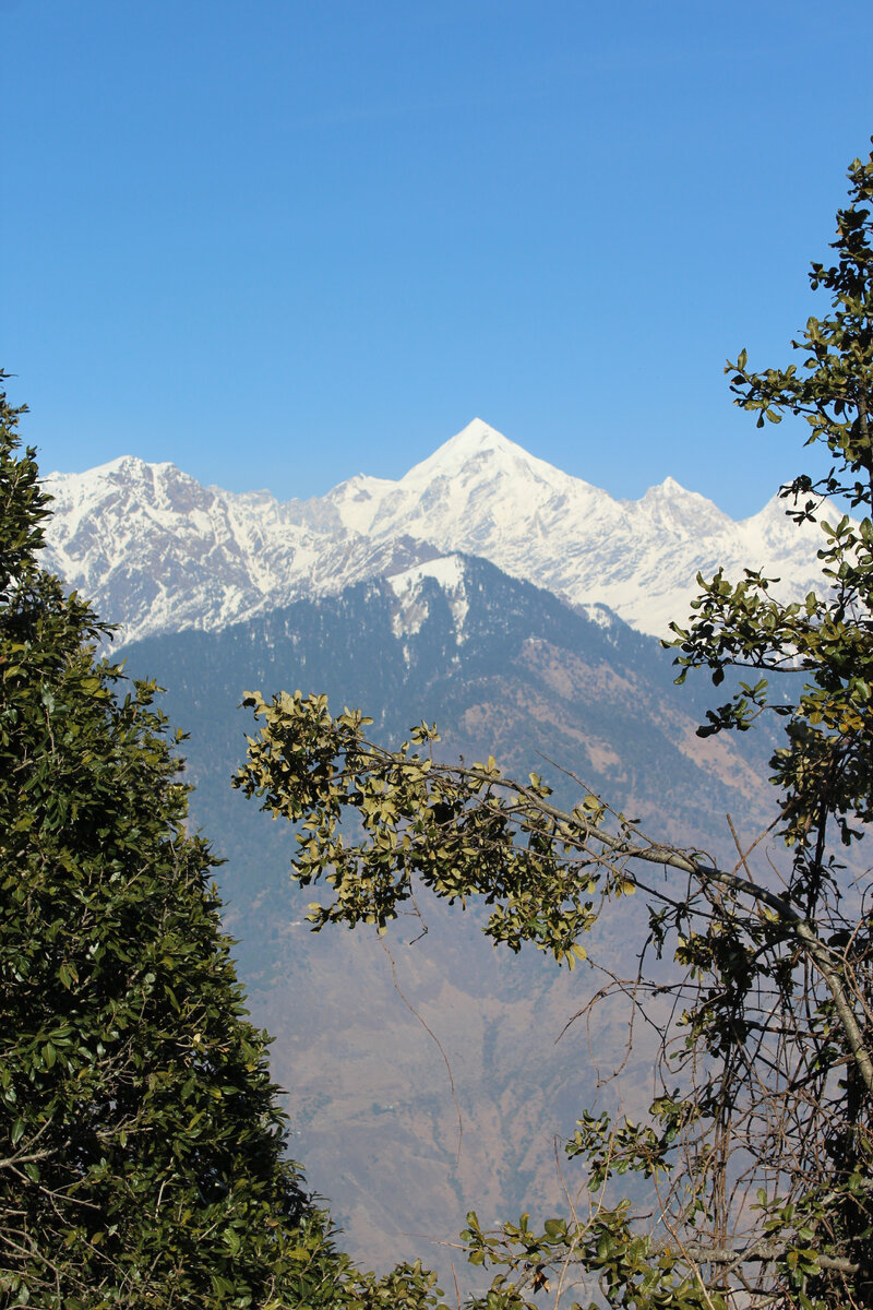 Пики Панчачули. Мунсьяри. Фото моего Гида.