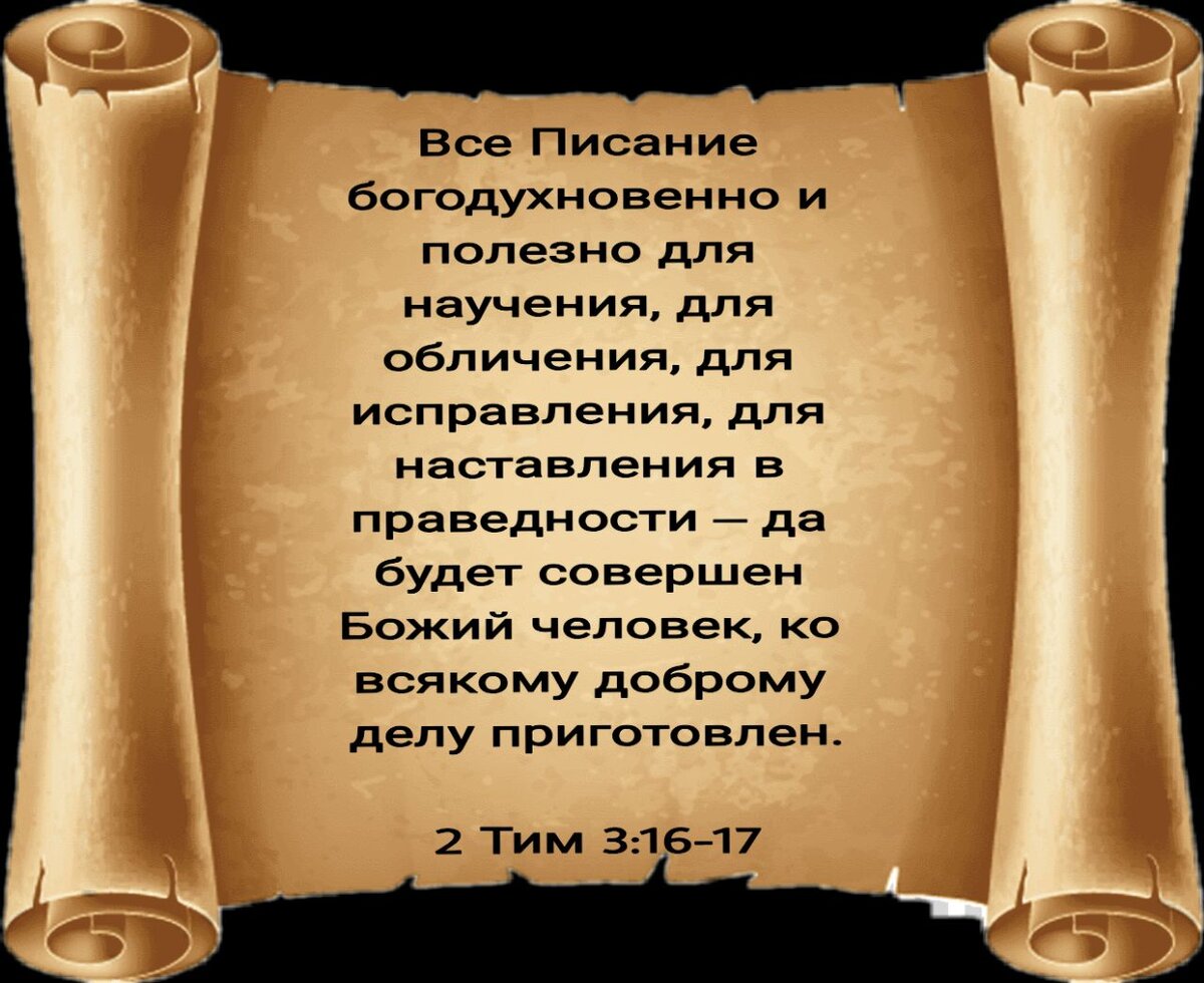 Одни христиане целуют Библию, но не читают ее, а другие сделали Писание  Богом. | Жизнь в вере. | Дзен