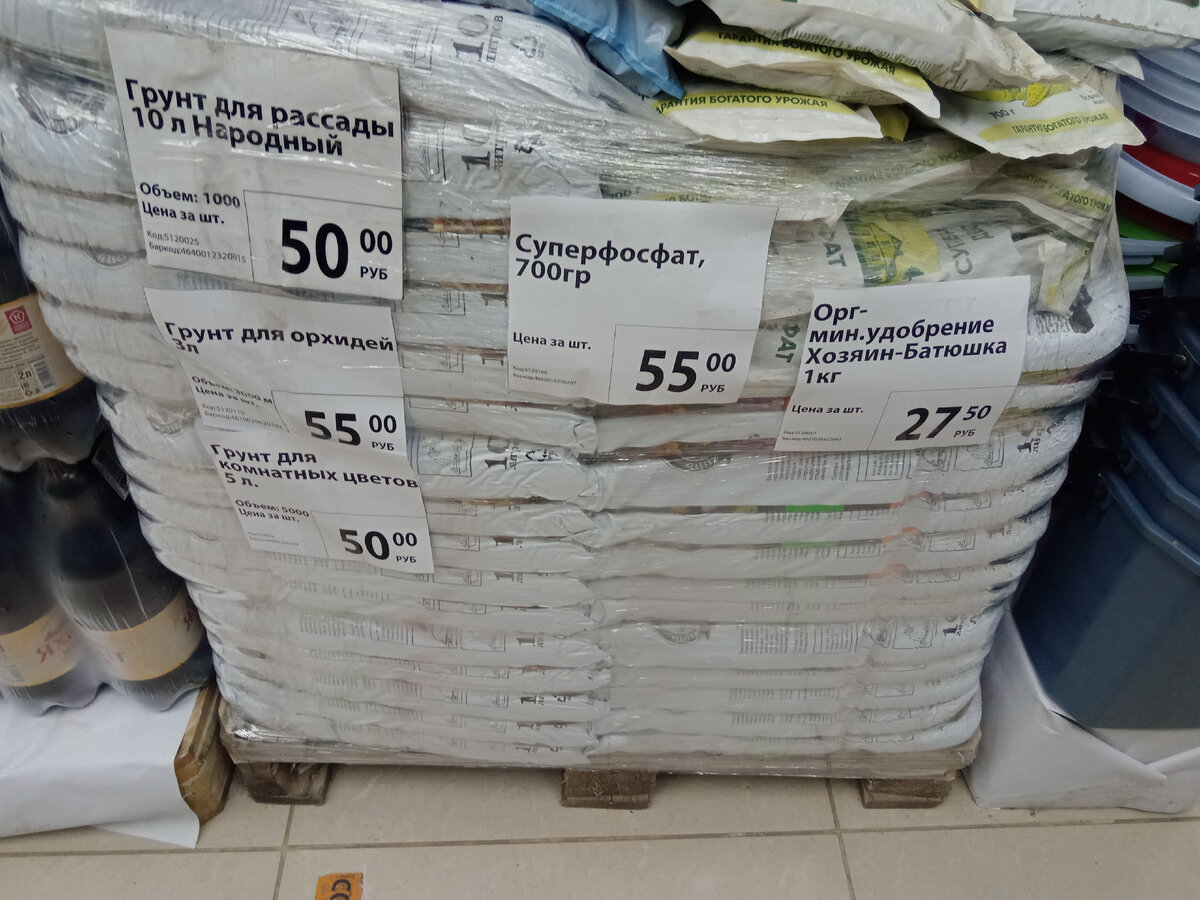 Личное фото. ДОМОВЕД.