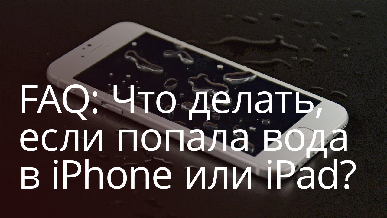 Faq: Что делать, если попала вода в iPhone или iPad? | AppleInsider.ru |  Дзен