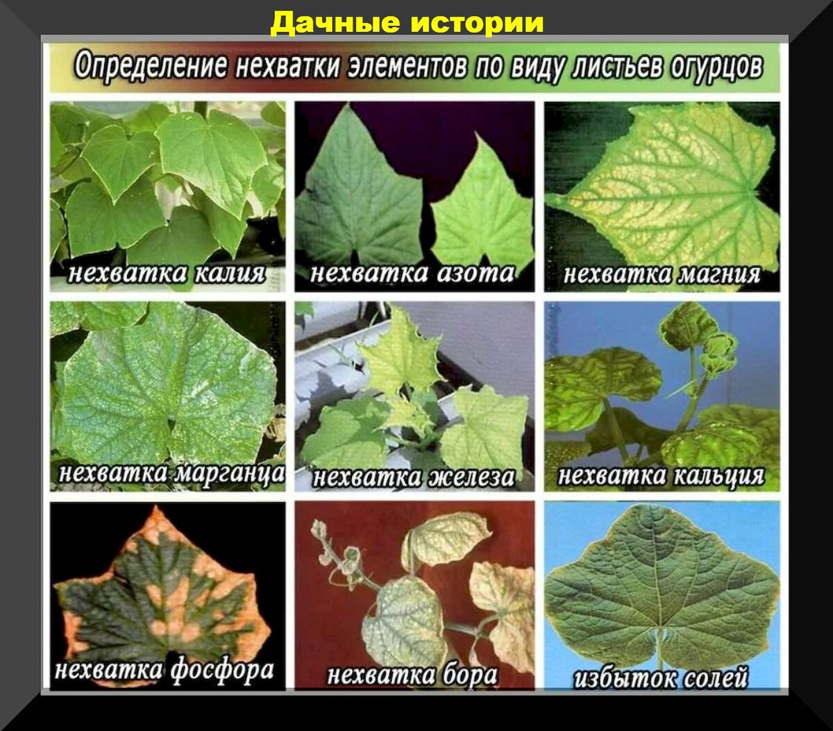 https://vk.com/photo-159774511_457248459