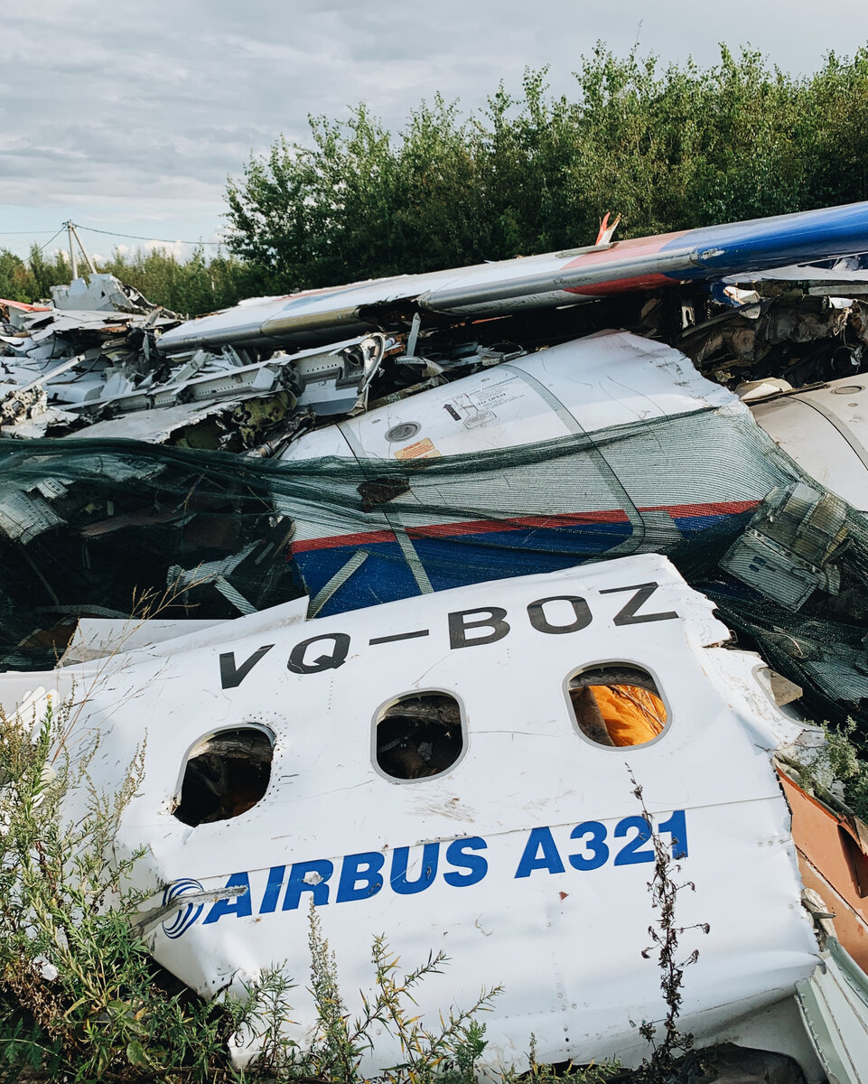 Фото автора, листайте галерею