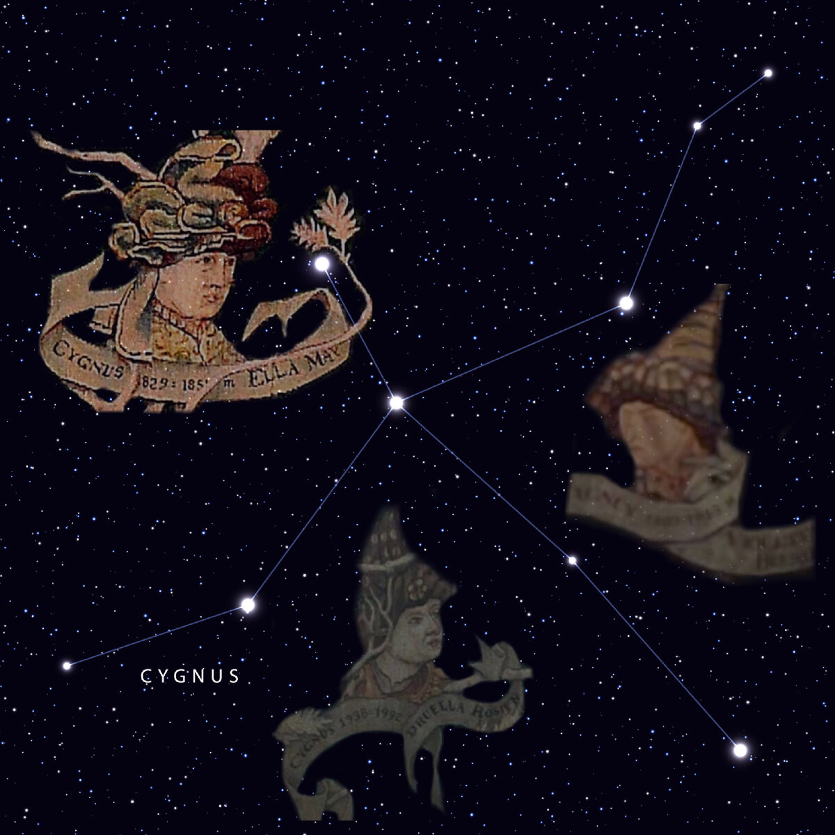 Созвездие Лебедя. Сигнус Блэк I, Сигнус Блэк II и Сигнус Блэк III