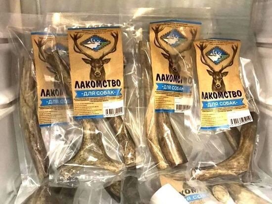 ФОТО: INSTAGRAM MOI_YAMALSKIY_RAION