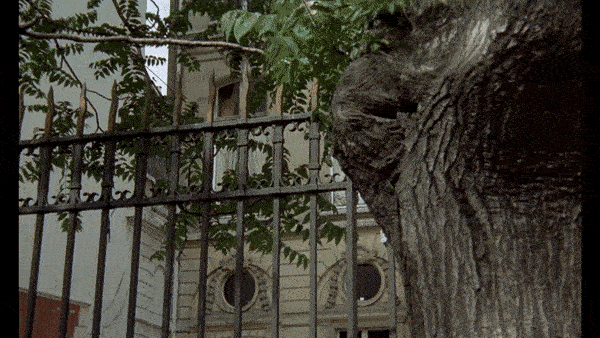 Действие происходит в посольстве республики Миранда