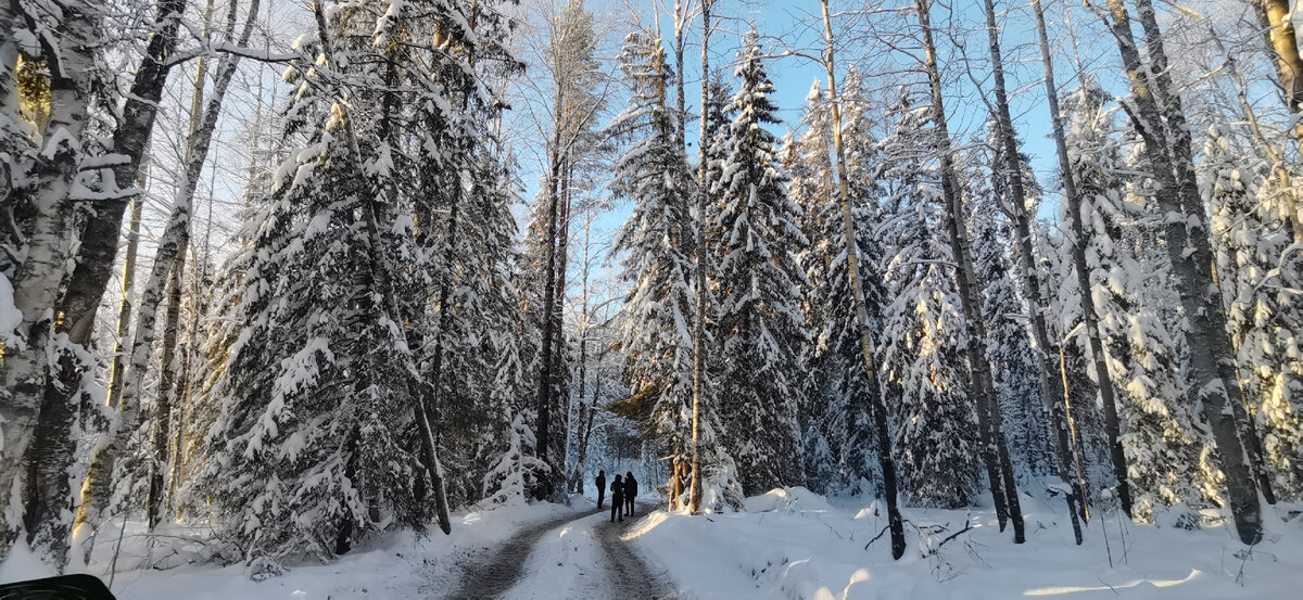 Где-то под Вельском
