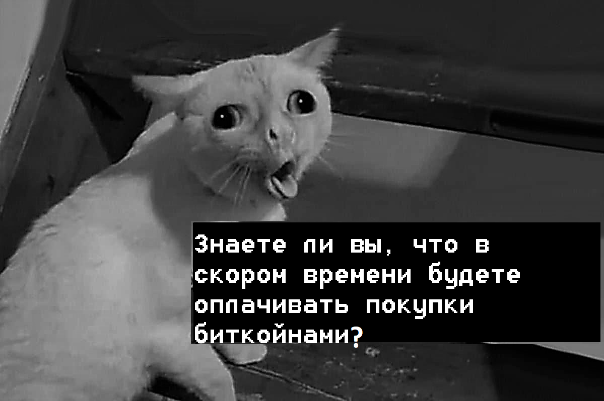 Знаете ли вы, что в скором времени будете оплачивать покупки биткойнами