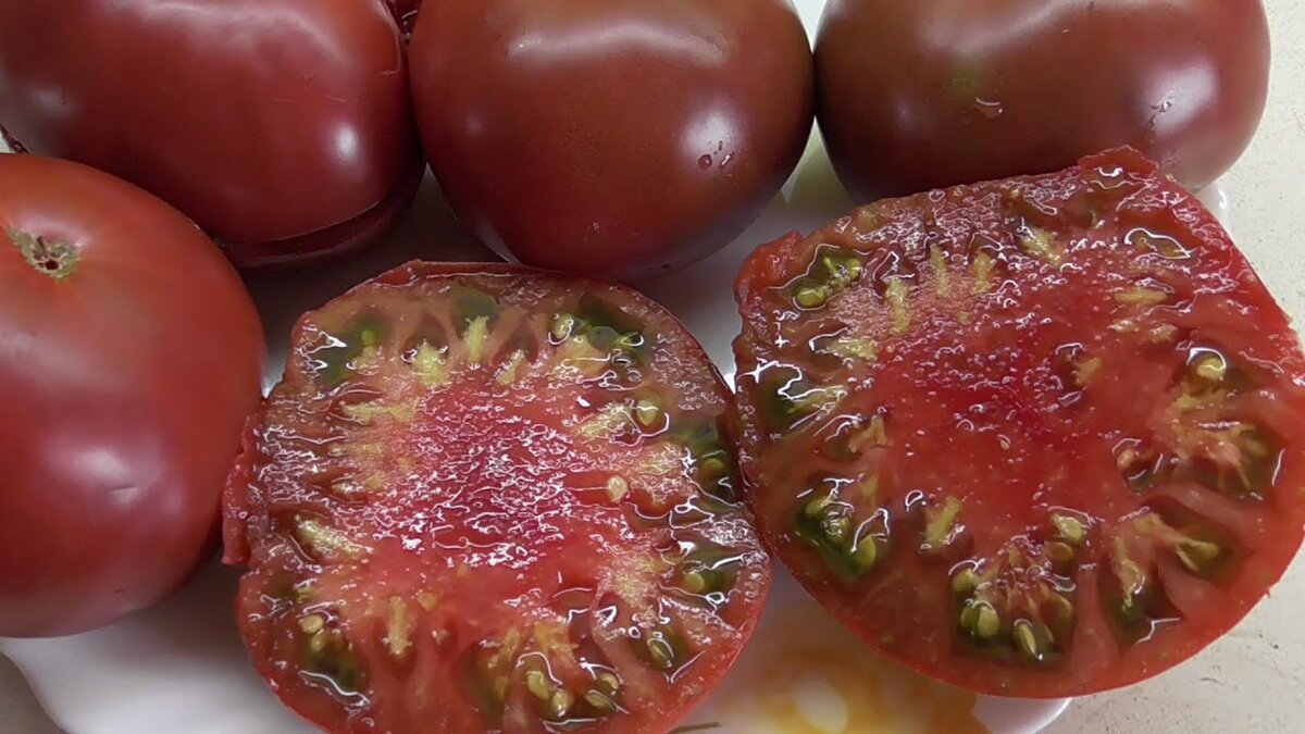 Томат сорт микадо черный. Помидоры микадо черный. Томат микадо красный. Томат микадо сибирико. Семена томатов.