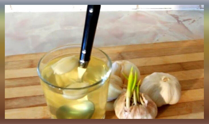 Практически все знают о пользе чеснока, хотя в основном вспоминают об этом, когда стоит вопрос укрепления иммунитета или борьбы с простудой