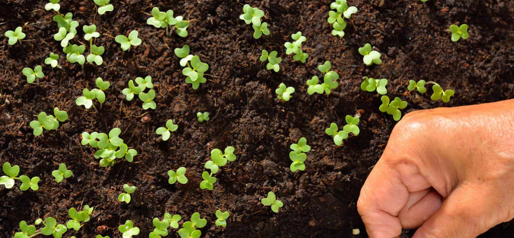 Из открытых источников