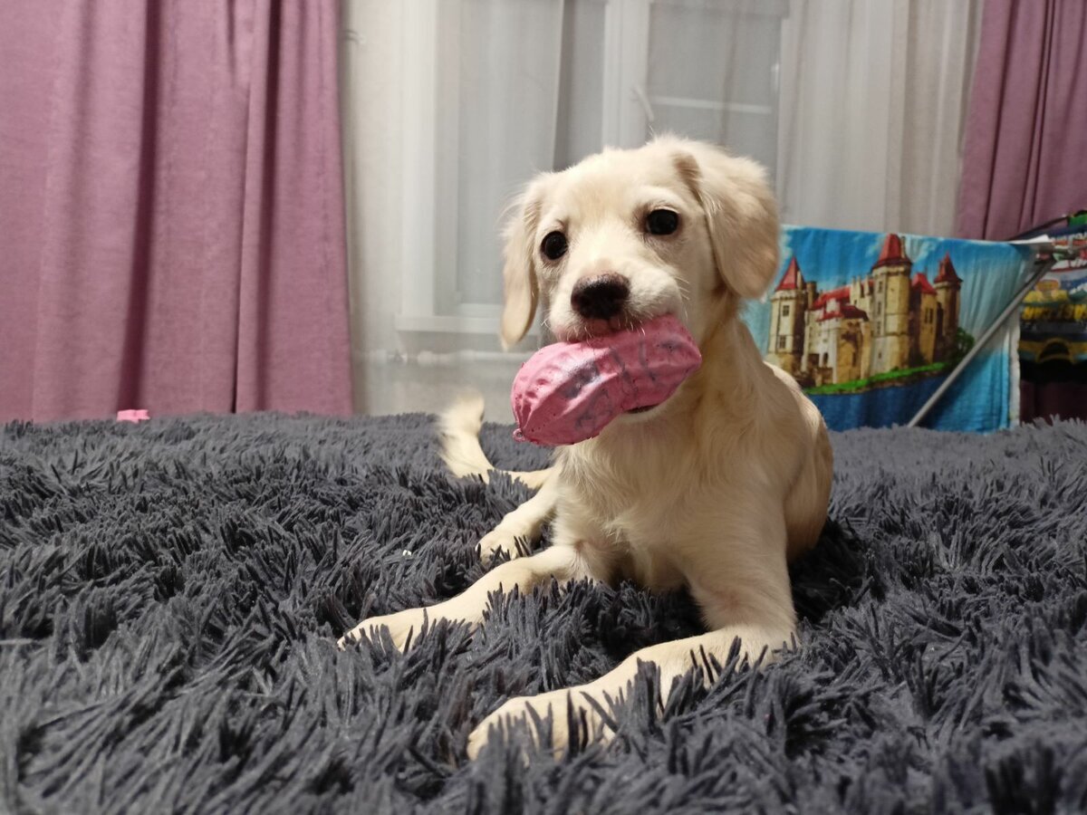 Сашенька