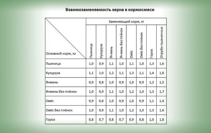 Взаимозаменяемость зерна в рационе домашней птицы