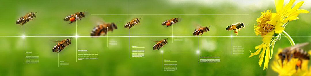 Естественная посещаемость сайта —  органический трафик