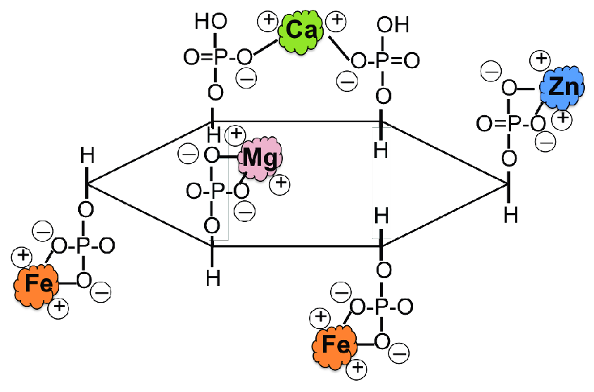 Формула фитиновой кислоты
