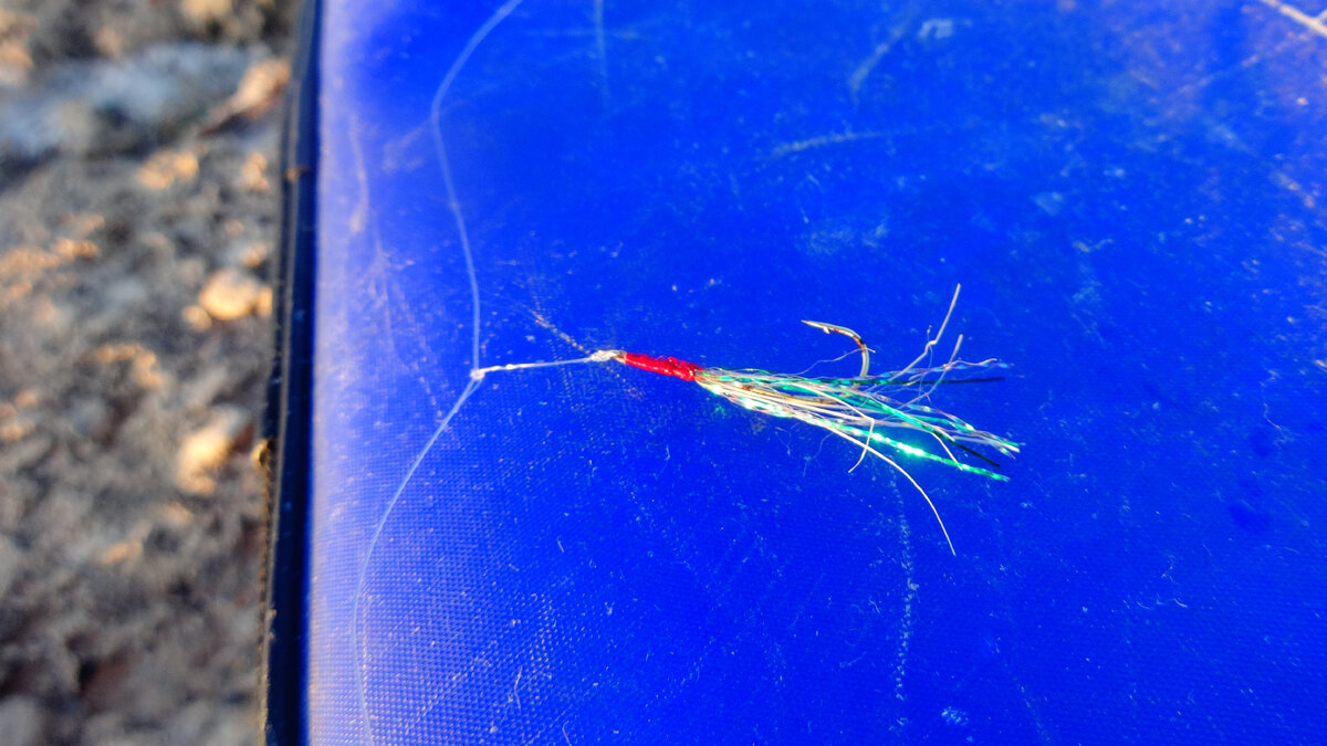 Самодур. Фото автора.