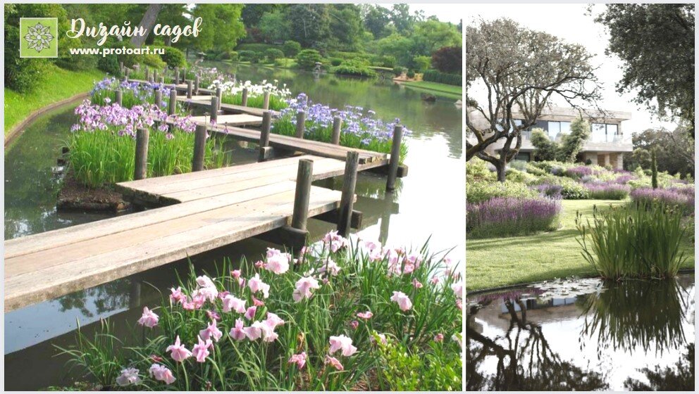 Естественная флора диктует дизайн сада