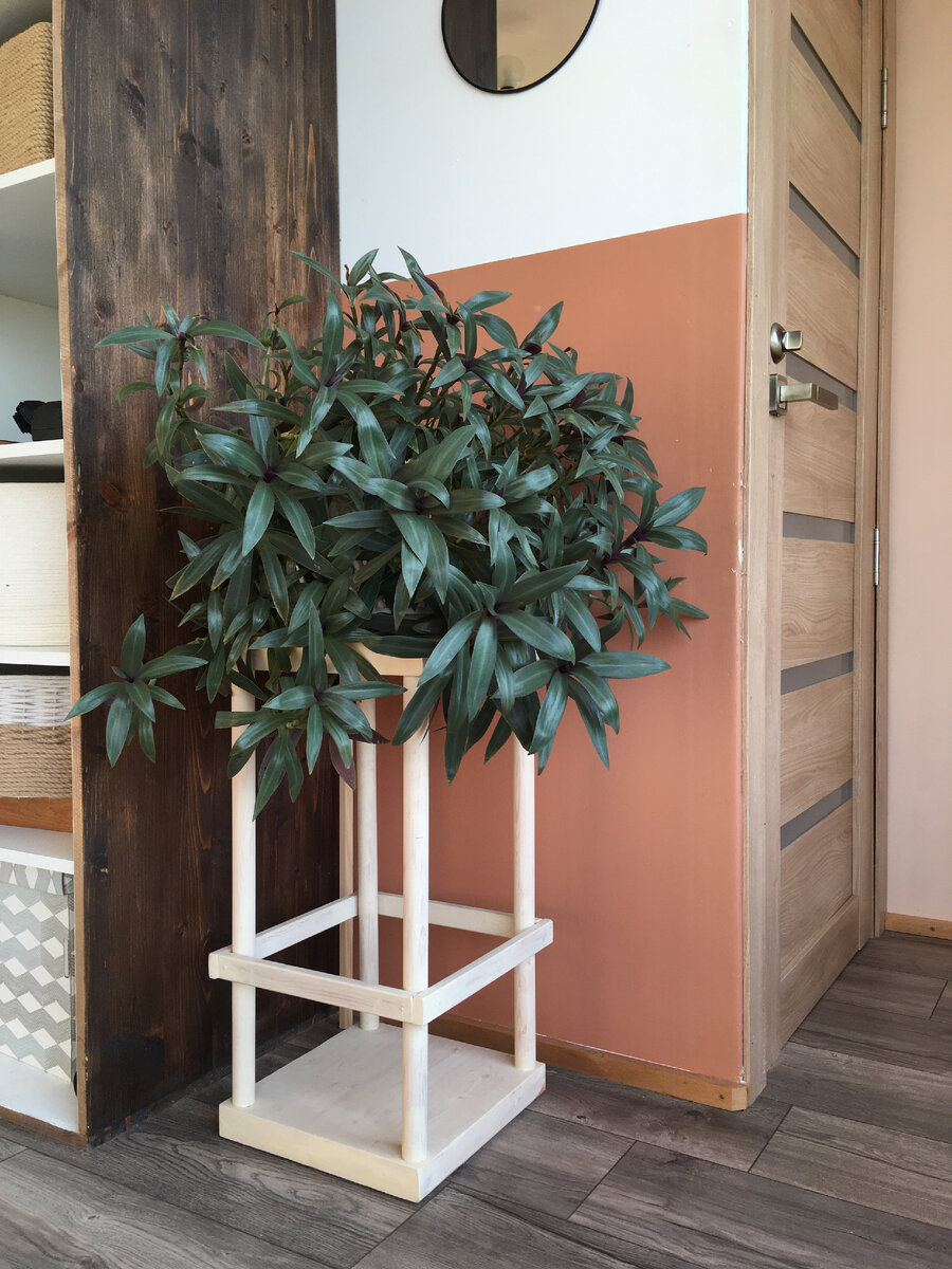 А так выглядит Традесканция сейчас