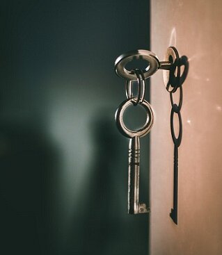 Изображение из открытого источника. Unsplash
