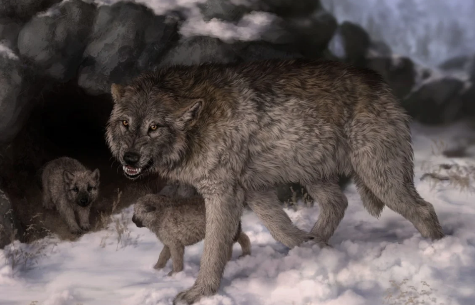 Разве у волчицы нет желания отстаивать свои интересы и проявлять здоровый патриотизм? Из открытых источников. https://clck.ru/rbt3N