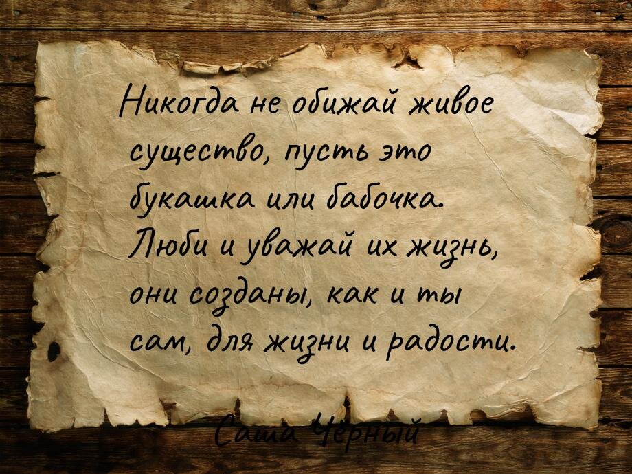 Цитата Саши Чёрного. Источник: www.tsitaty.ru