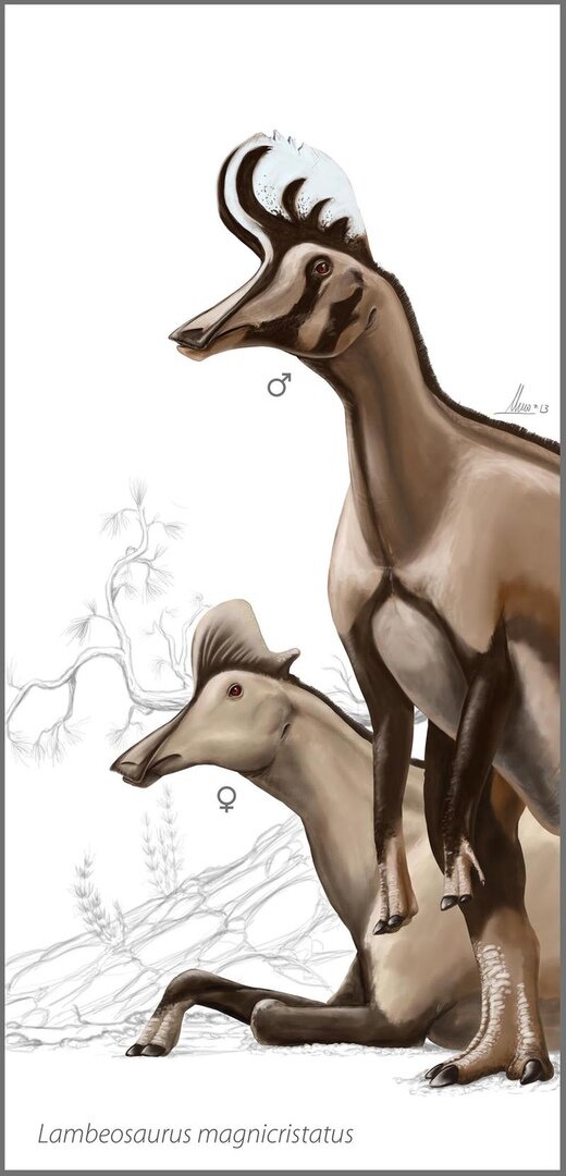  Ну, что там в дали?