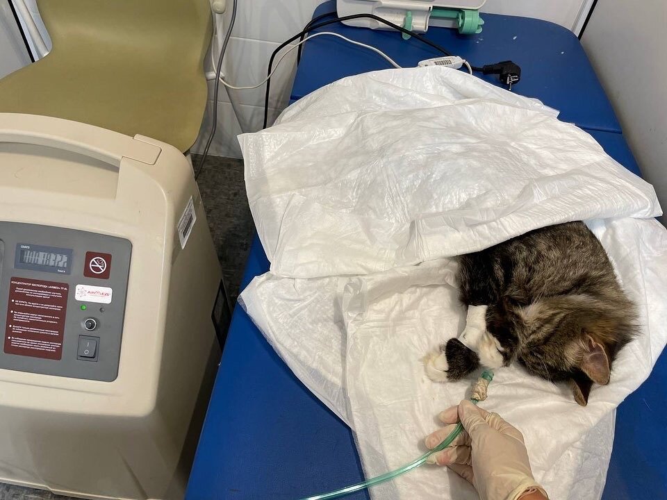 Отходит от наркоза после МРТ