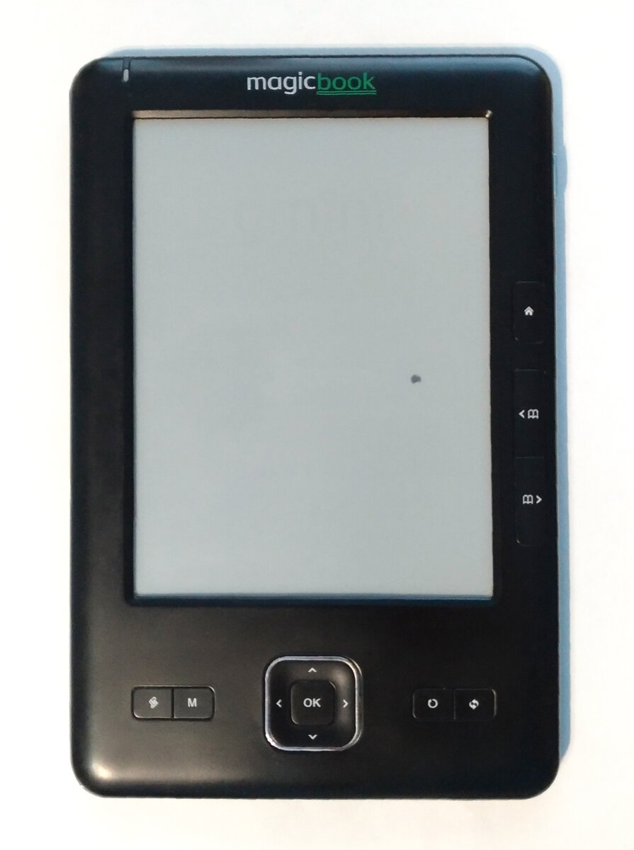 Пятнышко на экране появилось от неудачного падения, но читать не мешает. Не менять же весь экран из-за такой мелочи