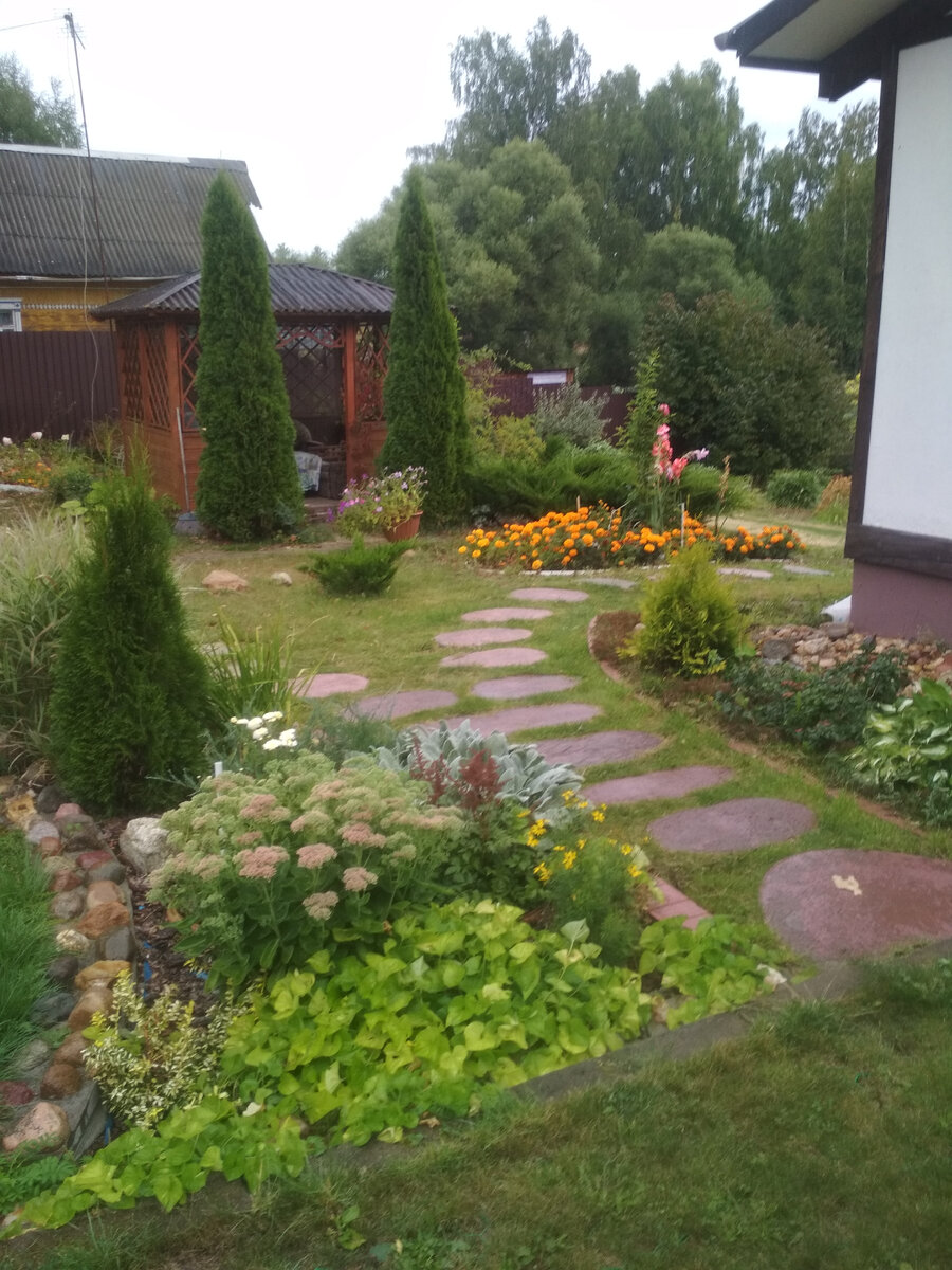 Фото сделано сегодня идёт дождь, осень 