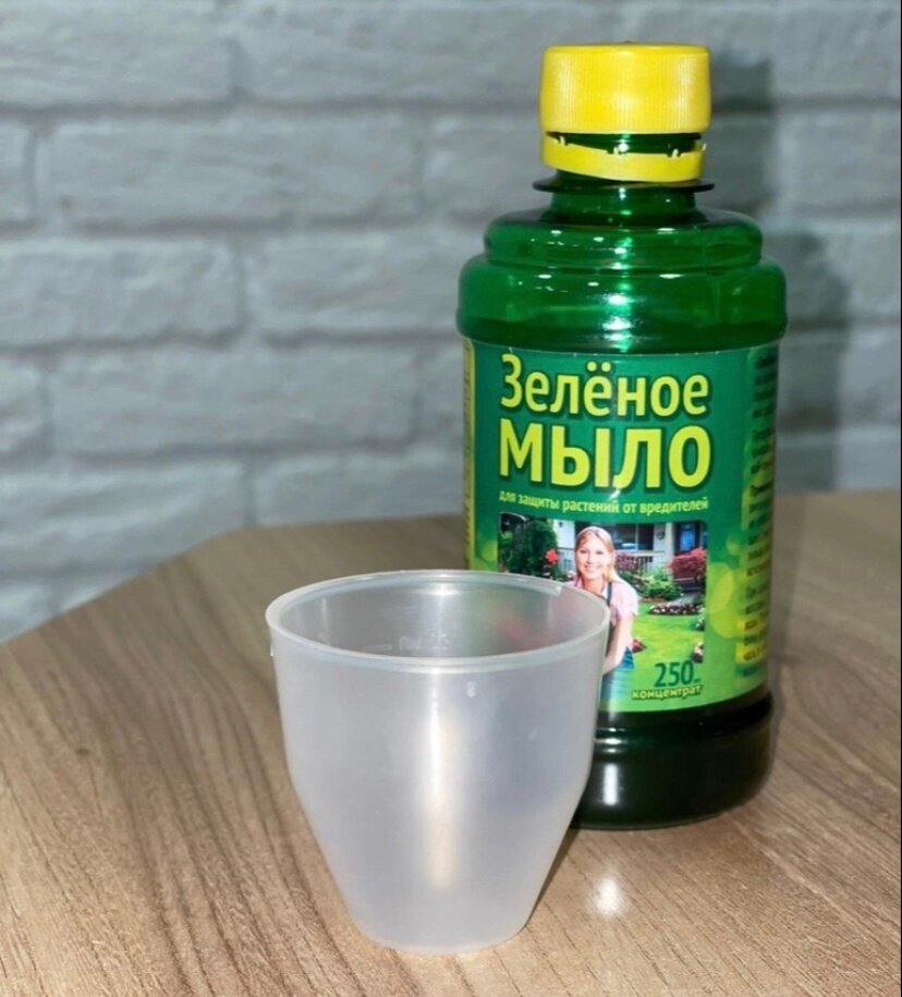 Как применять зеленое мыло для растений. Зеленое мыло. Зеленое мыло для растений. Зеленое мыло для комнатных растений. Лучшее зеленое мыло для растений