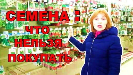 Семена. Или как не вляпаться в ГМО