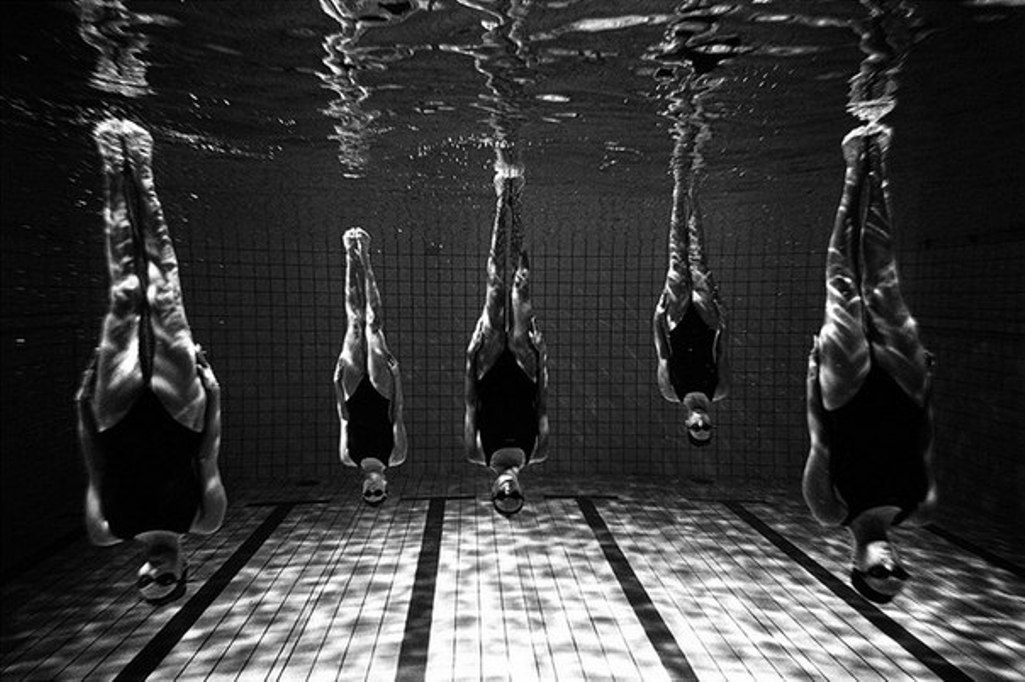 Изображение взято из открытых источников