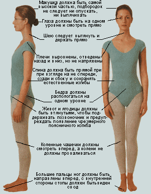 Антисоветы. Что только не насоветуют в интернете...