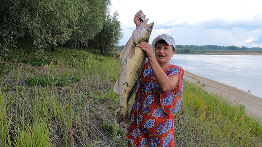 Баня Рыбалка Грибы Скачать Песню | Дзен
