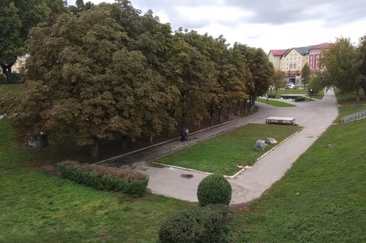    Лыбедский бульвар в Рязани в августе станет центром народных мотивов