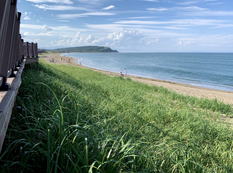 iPhone XS. Основная камера. Широкоугольный модуль 
