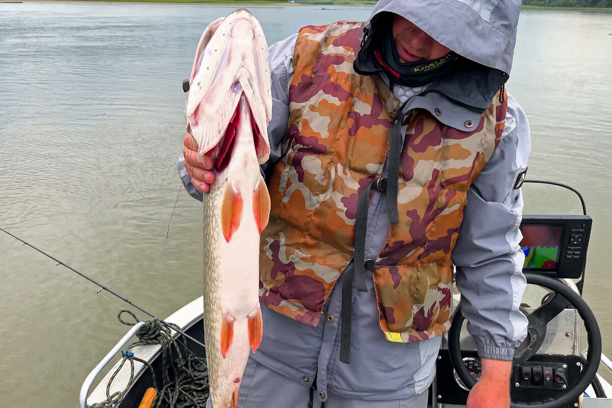 щука под 4 кг