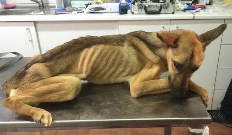 Источник Яндекс картинки. 