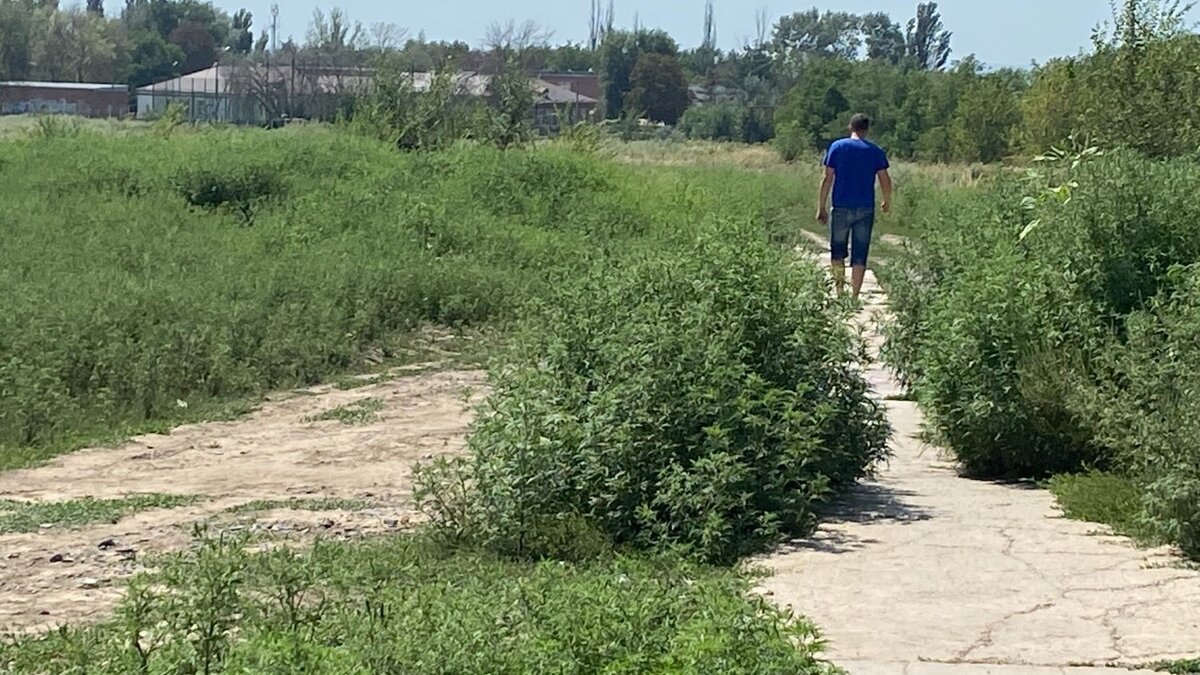     Амброзия зацвела в этом году особенно буйно, еще больше осложнив жизнь аллергиков. Граждане жалуются, что коммунальщики не обращают внимания на буйные заросли сорняка. Больше всего страдают астматики и дети.
