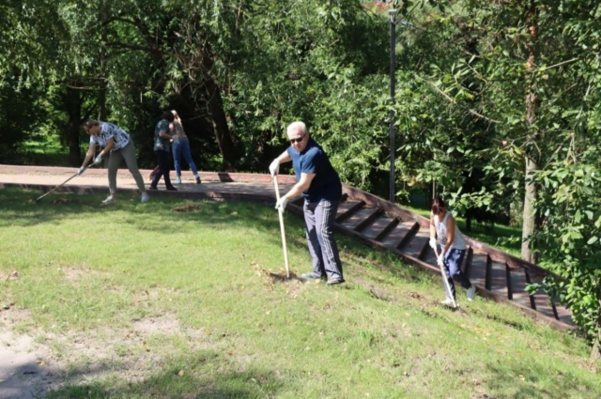    В рамках подготовки к Дню города в Брянске прошли санитарные дни