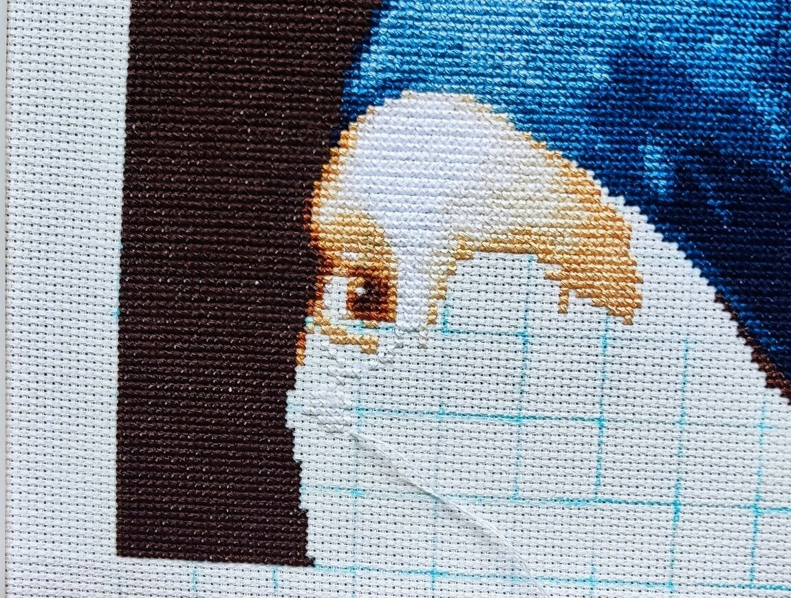 вышит глаз номер 1