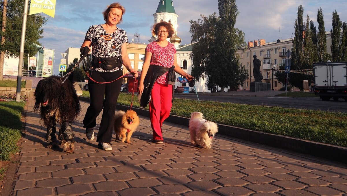     В администрации города рассказали, в каких местах Уфы будет официально разрешено выгуливать собак.