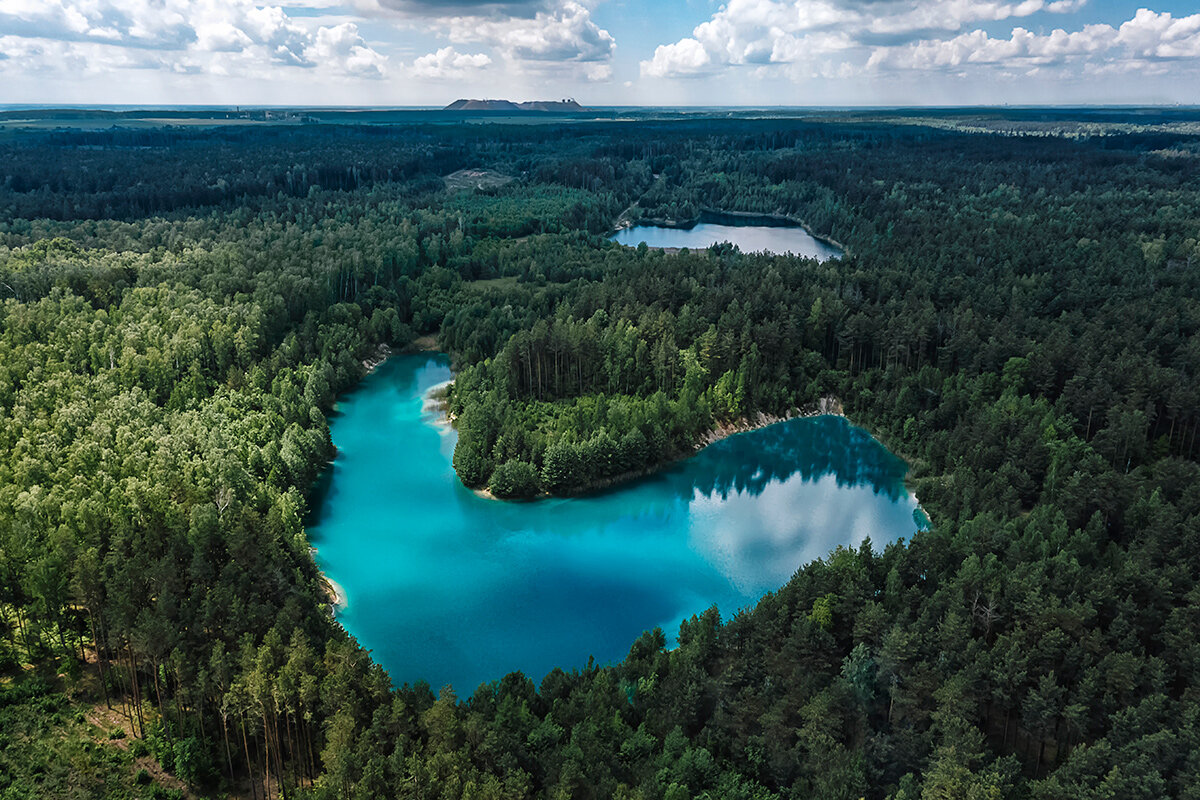    Фото: A Potonya/ Shutterstock.com