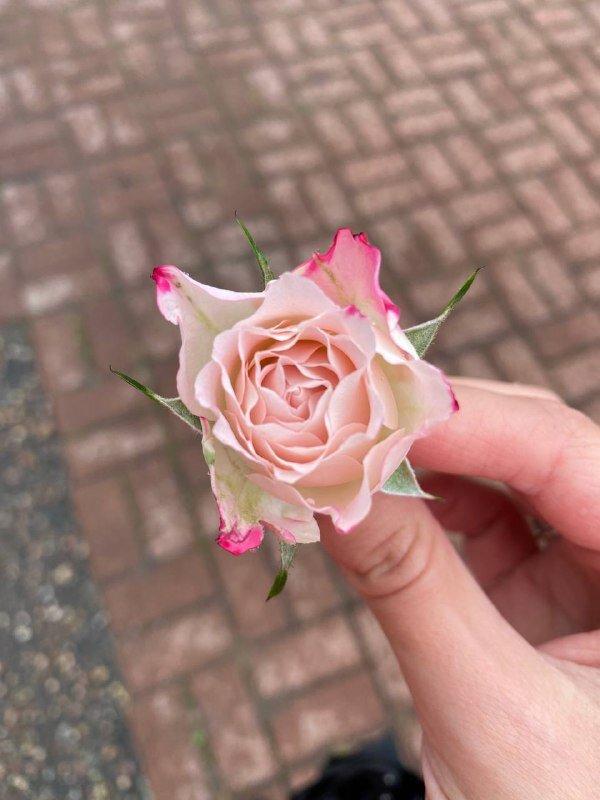 Знаки Вселенной.